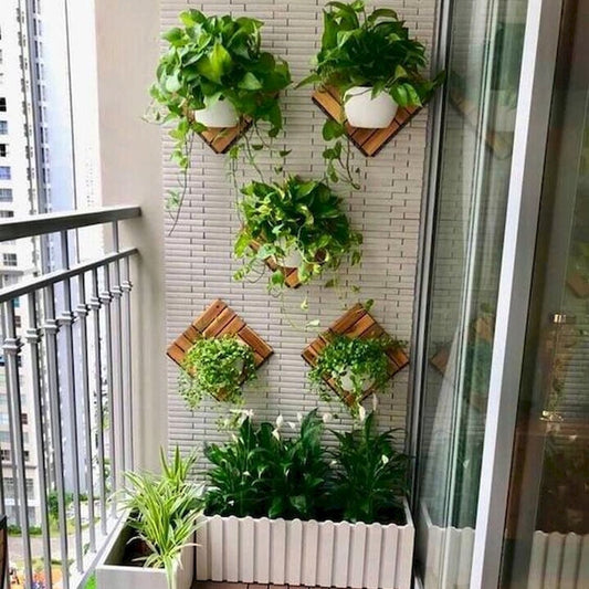 Evacuarea plantelor