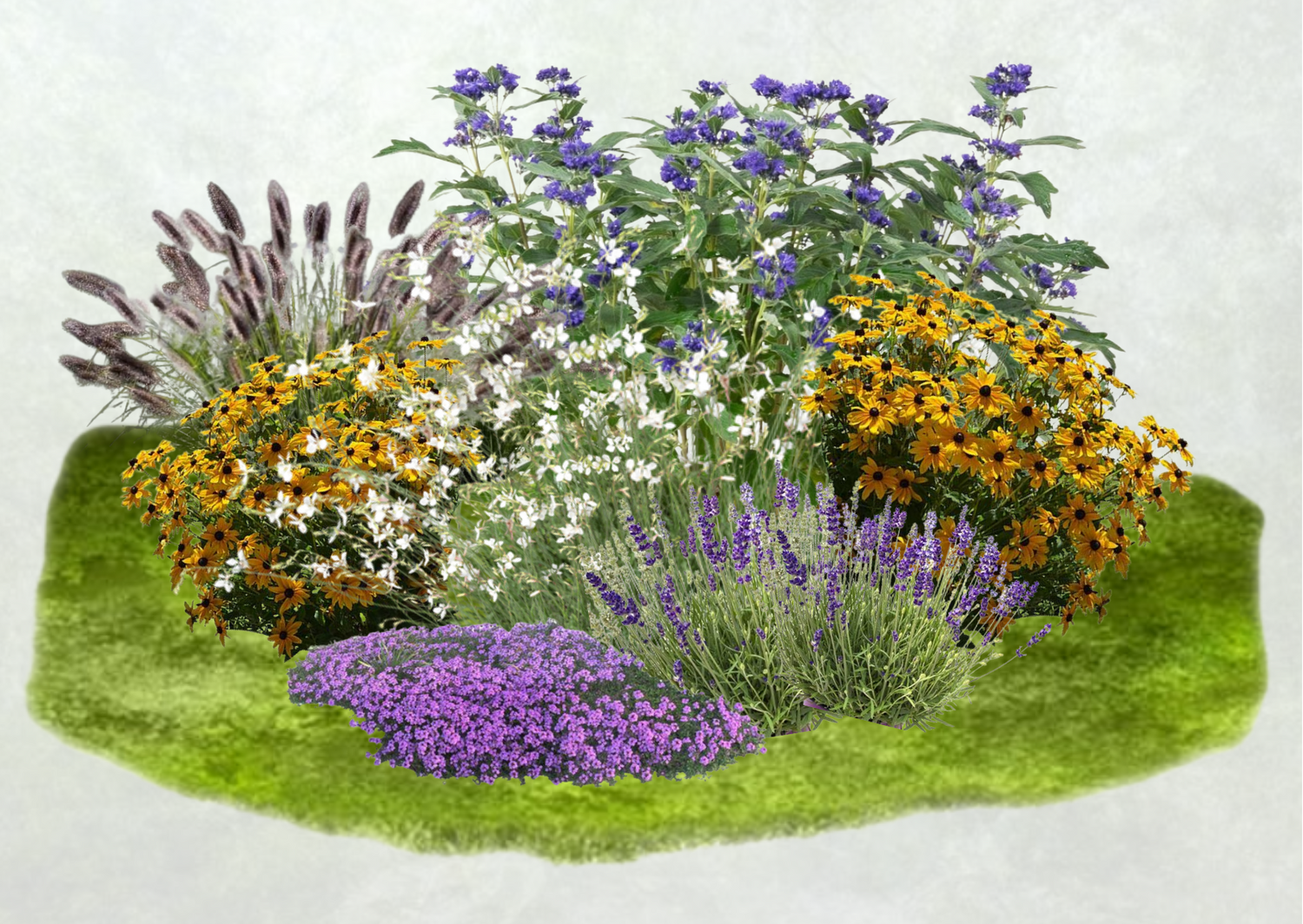 Colectia 'Plantastic Garden'