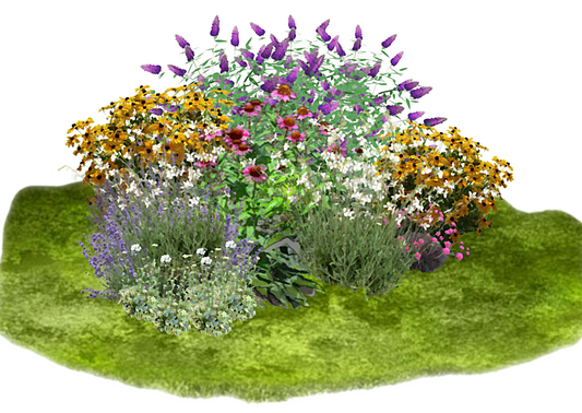 Rapsodie de sfârșit de vară-Un colț de grădină care prinde viață atunci când alte flori își încheie spectacolul.