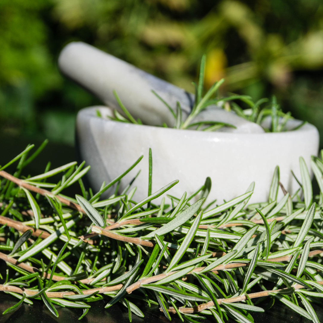 Rozmarinul este folosit frecvent în bucătărie, datorită aromei sale bogate.