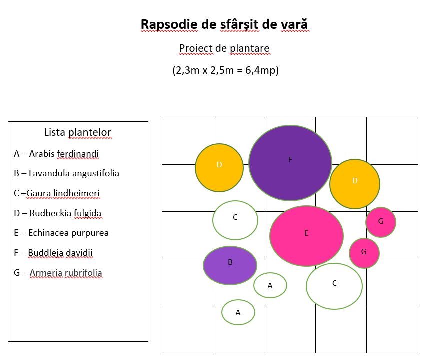 Rapsodie de sfârșit de vară